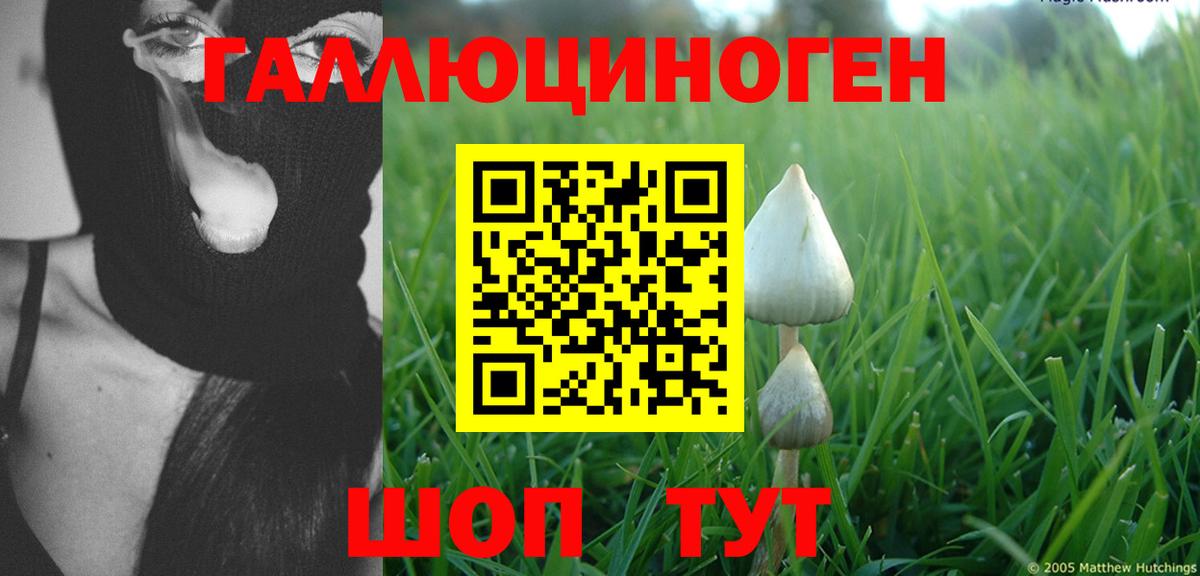 Троицк  купить  цена  Вход с VPN  Галлюциногенные грибы Cubensis  Галлюциногенные грибы Psilocybe 