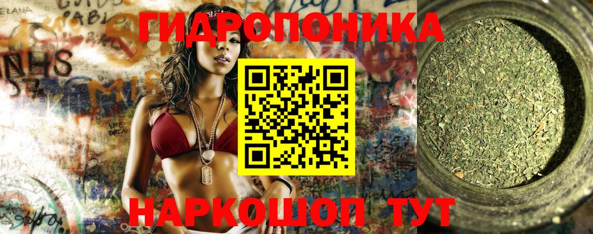 МАРИХУАНА сатива Троицк